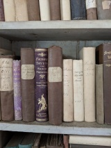 A shelf of the adult library